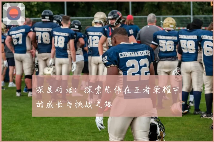 深度对话:探索陈伟在王者荣耀中的成长与挑战之路