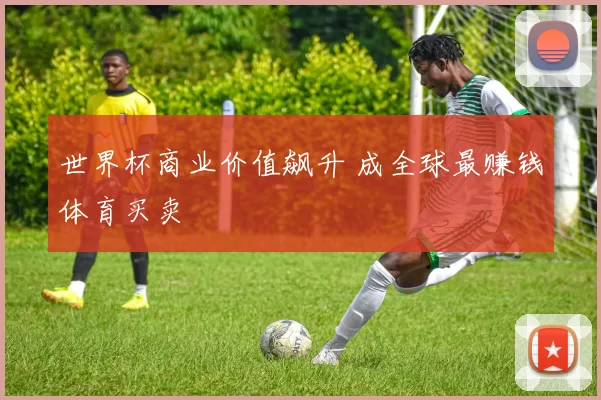 世界杯商业价值飙升 成全球最赚钱体育买卖