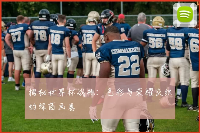 揭秘世界杯战袍：色彩与荣耀交织的绿茵画卷