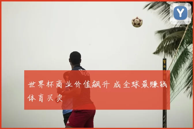 世界杯商业价值飙升 成全球最赚钱体育买卖