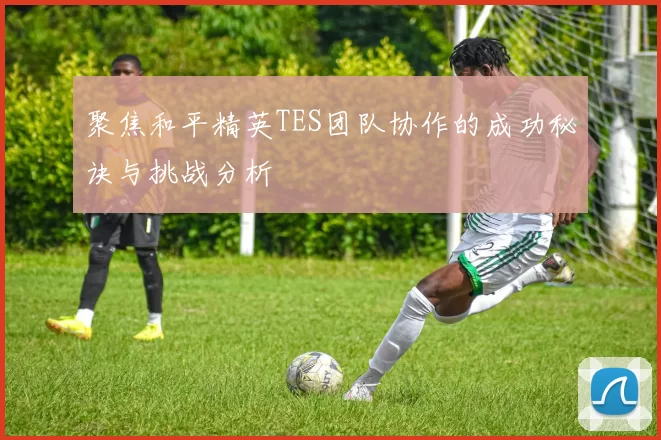 聚焦和平精英TES团队协作的成功秘诀与挑战分析