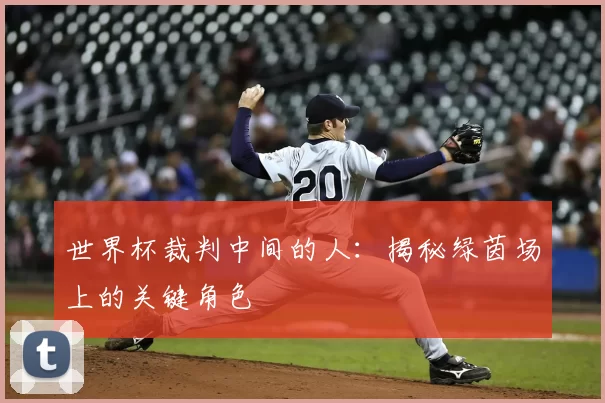 世界杯裁判中间的人：揭秘绿茵场上的关键角色