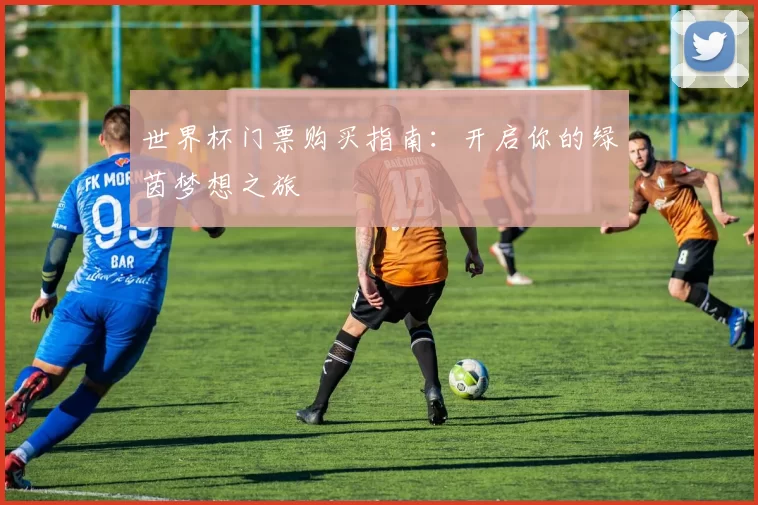世界杯门票购买指南：开启你的绿茵梦想之旅