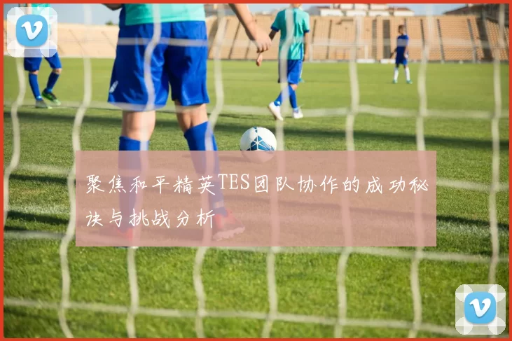 聚焦和平精英TES团队协作的成功秘诀与挑战分析