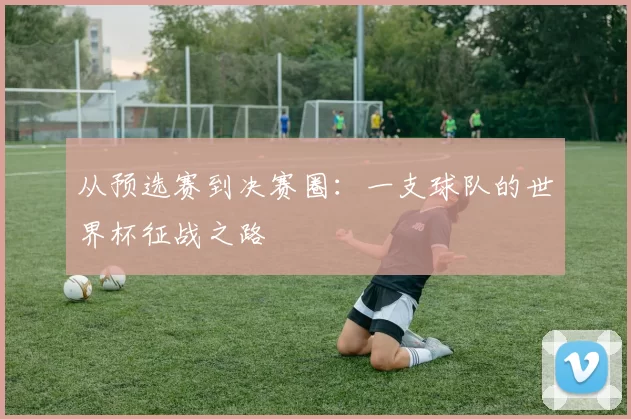 从预选赛到决赛圈：一支球队的世界杯征战之路