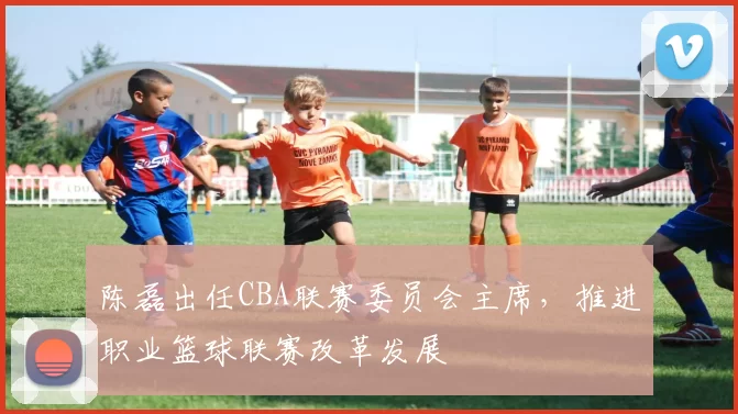 陈磊出任CBA联赛委员会主席，推进职业篮球联赛改革发展
