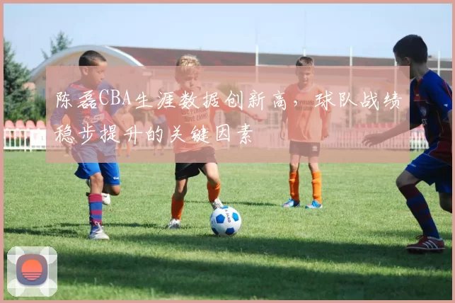 陈磊CBA生涯数据创新高，球队战绩稳步提升的关键因素