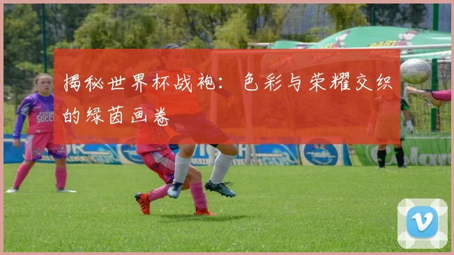 揭秘世界杯战袍:色彩与荣耀交织的绿茵画卷