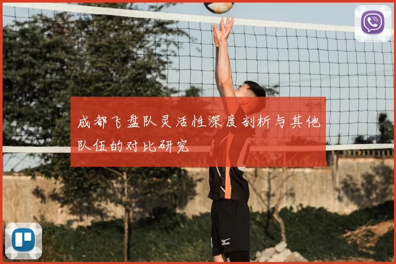 成都飞盘队灵活性深度剖析与其他队伍的对比研究