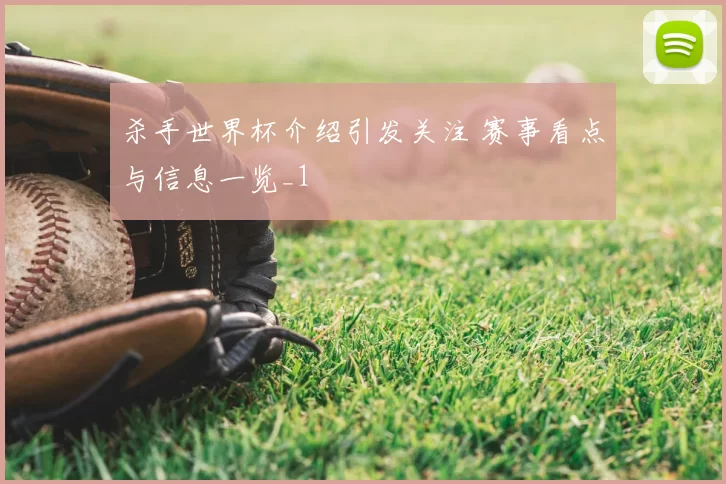 杀手世界杯介绍引发关注 赛事看点与信息一览_1